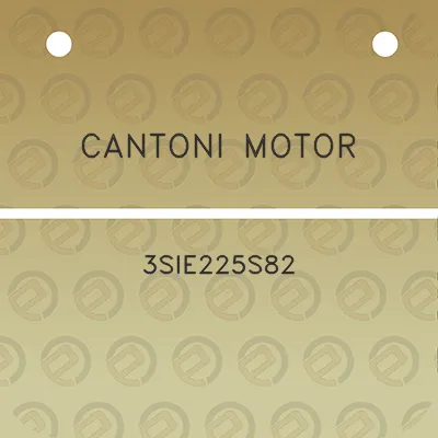 cantoni-motor-3sie225s82