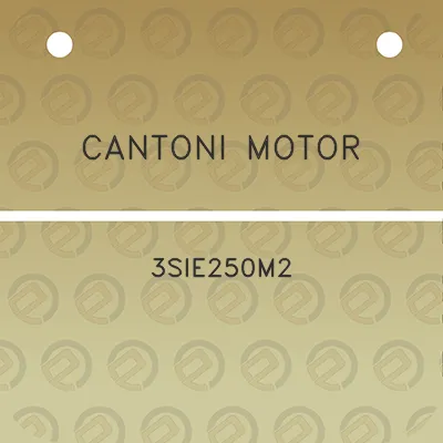 cantoni-motor-3sie250m2