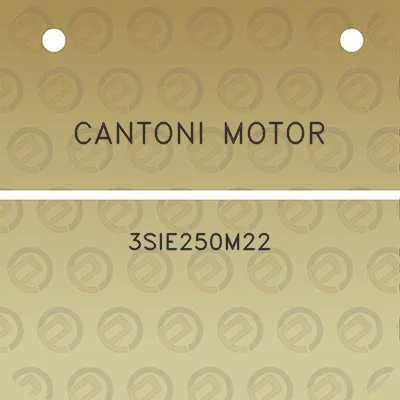 cantoni-motor-3sie250m22