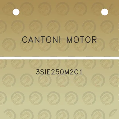 cantoni-motor-3sie250m2c1