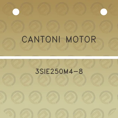 cantoni-motor-3sie250m4-8