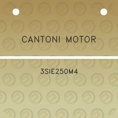 cantoni-motor-3sie250m4