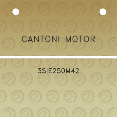 cantoni-motor-3sie250m42