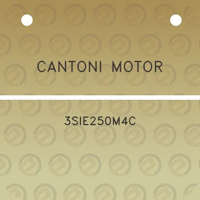 cantoni-motor-3sie250m4c