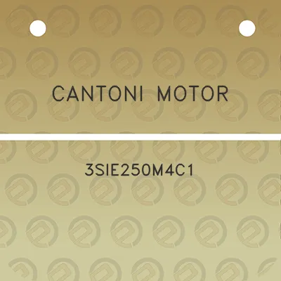 cantoni-motor-3sie250m4c1