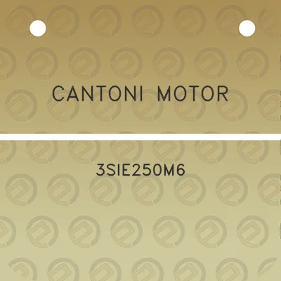 cantoni-motor-3sie250m6