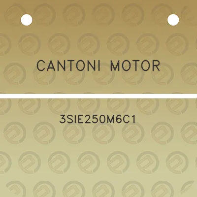 cantoni-motor-3sie250m6c1