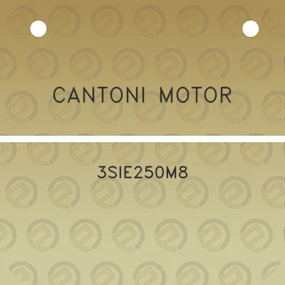 cantoni-motor-3sie250m8