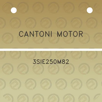 cantoni-motor-3sie250m82