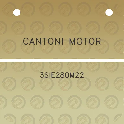 cantoni-motor-3sie280m22