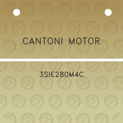 cantoni-motor-3sie280m4c