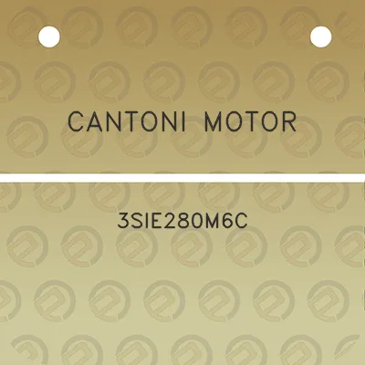 cantoni-motor-3sie280m6c