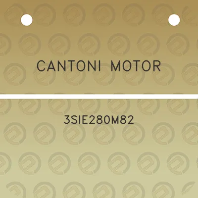 cantoni-motor-3sie280m82