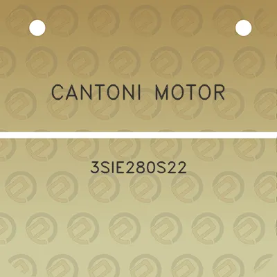 cantoni-motor-3sie280s22