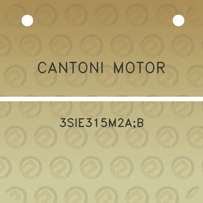 cantoni-motor-3sie315m2ab