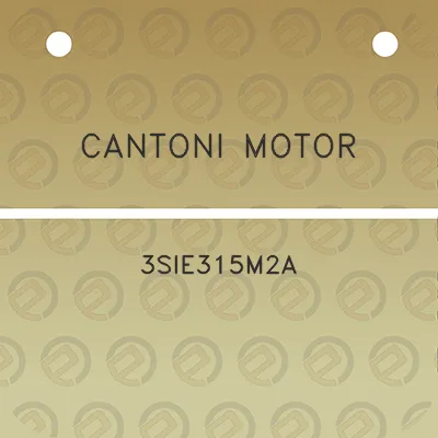 cantoni-motor-3sie315m2a