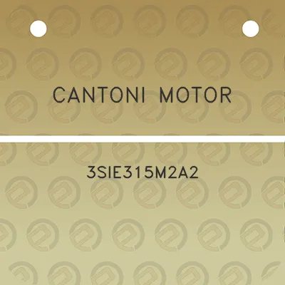 cantoni-motor-3sie315m2a2