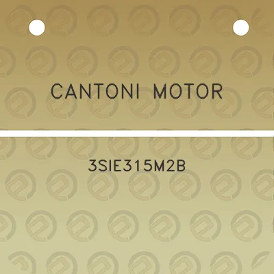 cantoni-motor-3sie315m2b