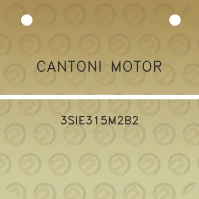 cantoni-motor-3sie315m2b2