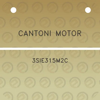 cantoni-motor-3sie315m2c