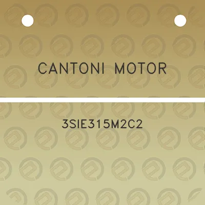 cantoni-motor-3sie315m2c2