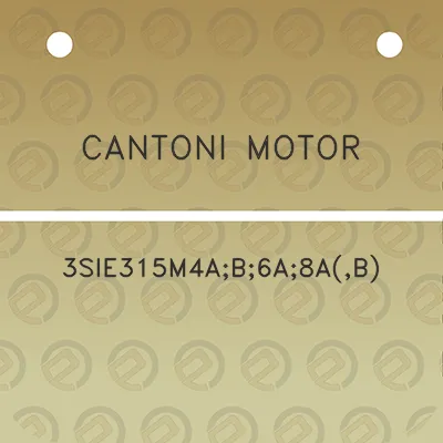 cantoni-motor-3sie315m4ab6a8ab