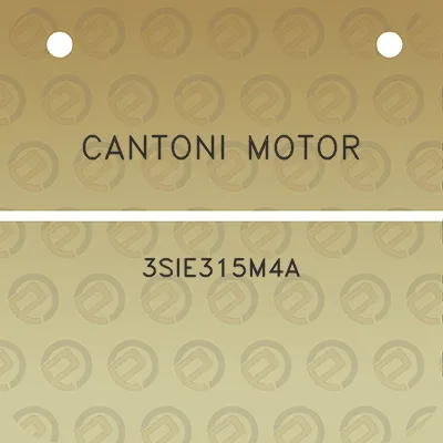 cantoni-motor-3sie315m4a