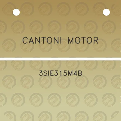 cantoni-motor-3sie315m4b