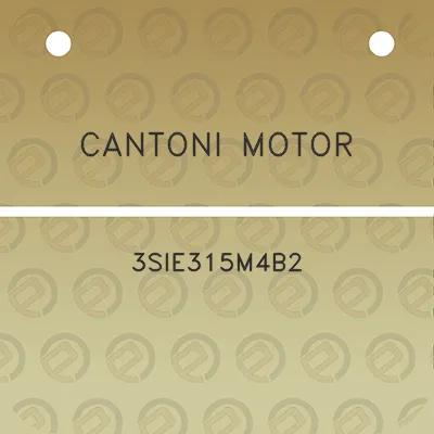 cantoni-motor-3sie315m4b2