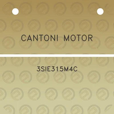 cantoni-motor-3sie315m4c