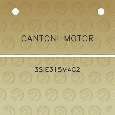 cantoni-motor-3sie315m4c2