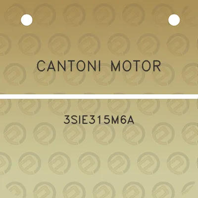 cantoni-motor-3sie315m6a