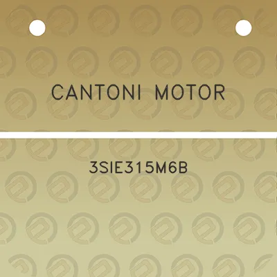 cantoni-motor-3sie315m6b