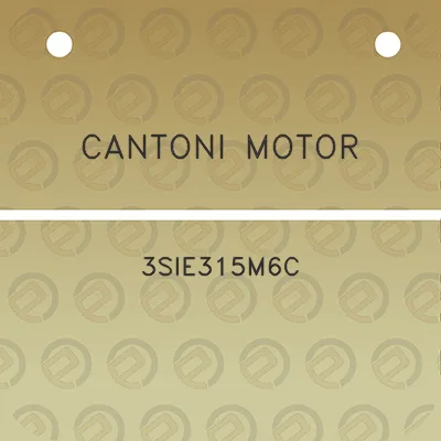 cantoni-motor-3sie315m6c