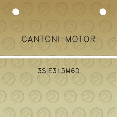 cantoni-motor-3sie315m6d