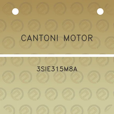 cantoni-motor-3sie315m8a