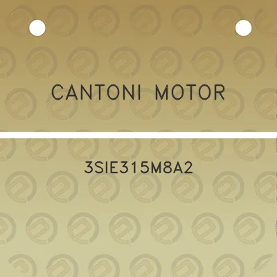 cantoni-motor-3sie315m8a2