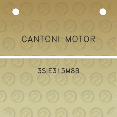 cantoni-motor-3sie315m8b