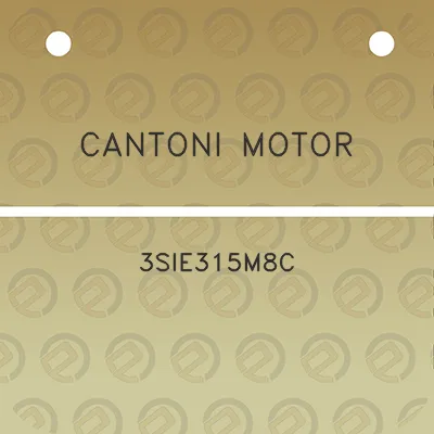 cantoni-motor-3sie315m8c