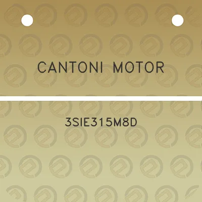 cantoni-motor-3sie315m8d