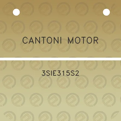 cantoni-motor-3sie315s2