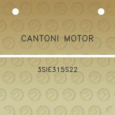 cantoni-motor-3sie315s22