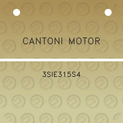 cantoni-motor-3sie315s4