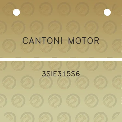 cantoni-motor-3sie315s6