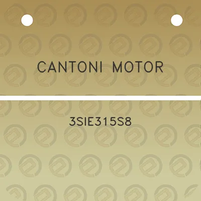 cantoni-motor-3sie315s8