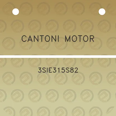 cantoni-motor-3sie315s82