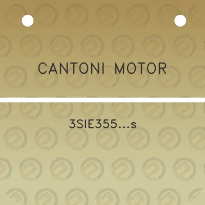 cantoni-motor-3sie355s