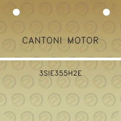 cantoni-motor-3sie355h2e