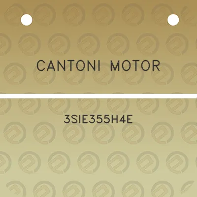 cantoni-motor-3sie355h4e