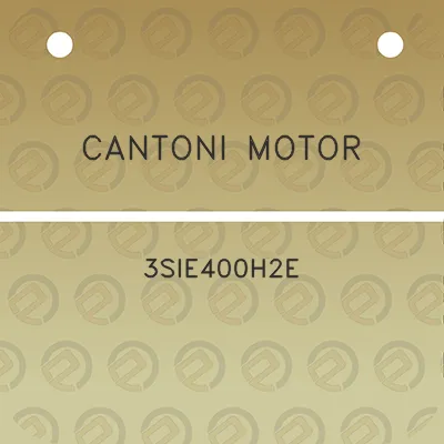 cantoni-motor-3sie400h2e